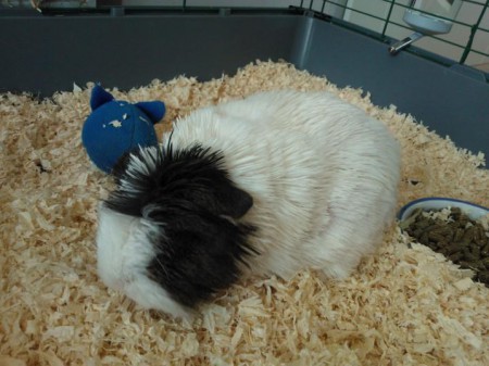 En ook Eros hoort er natuurlijk bij!